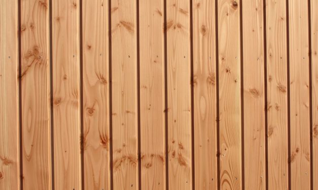 Terrasse en bois : les conseils des experts