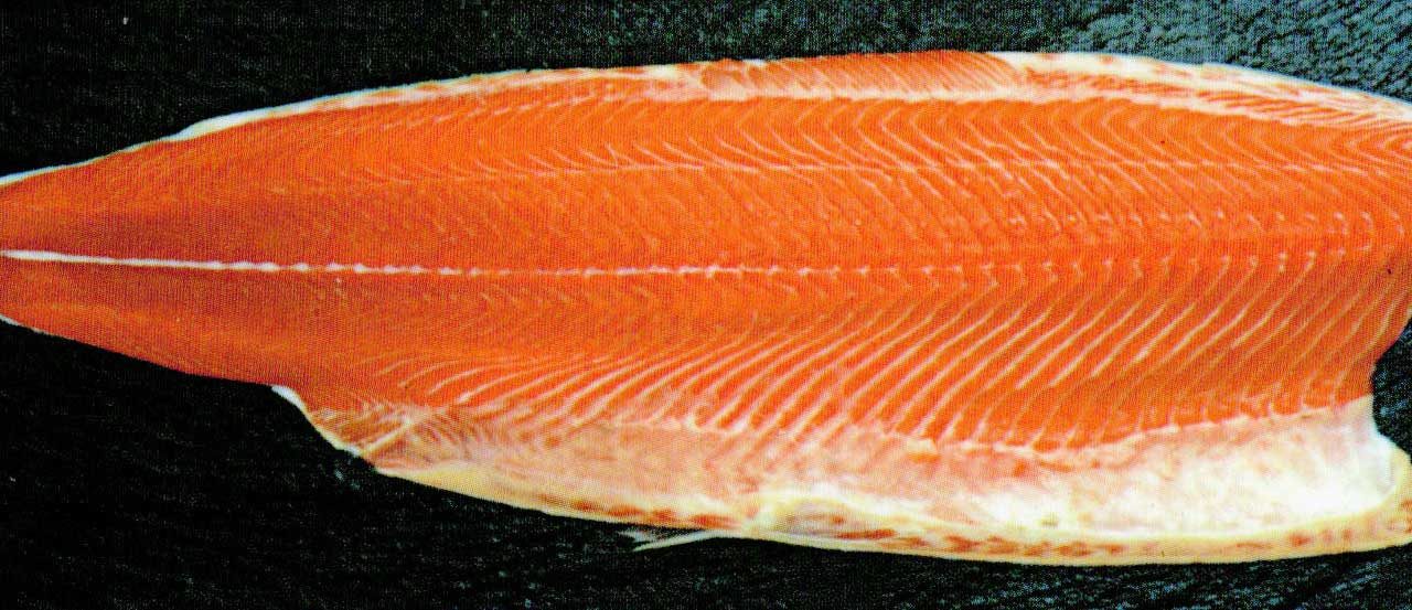 Comment cuire un saumon entier ?